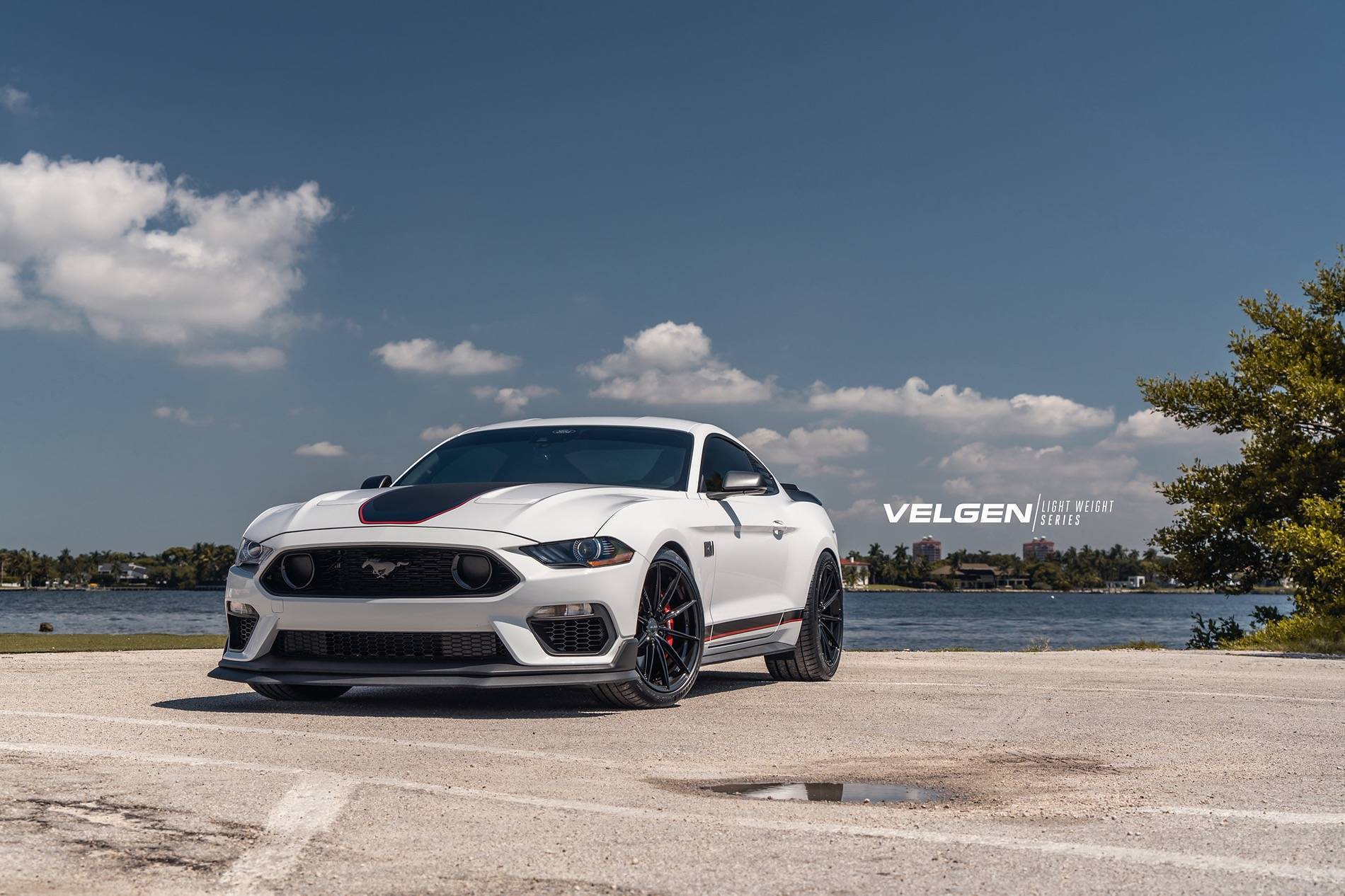 Mach 1 Mustang - VF10_5.jpeg