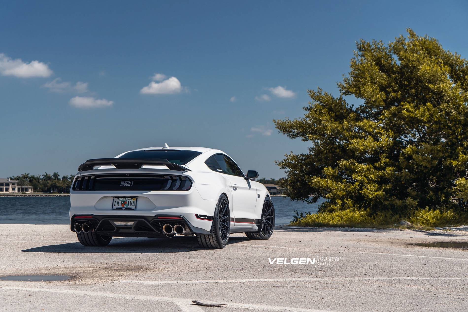 Mach 1 Mustang - VF10_7.jpeg