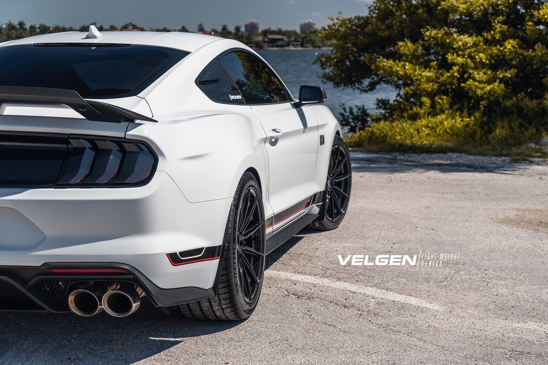 Mach 1 Mustang - VF10_8.jpeg