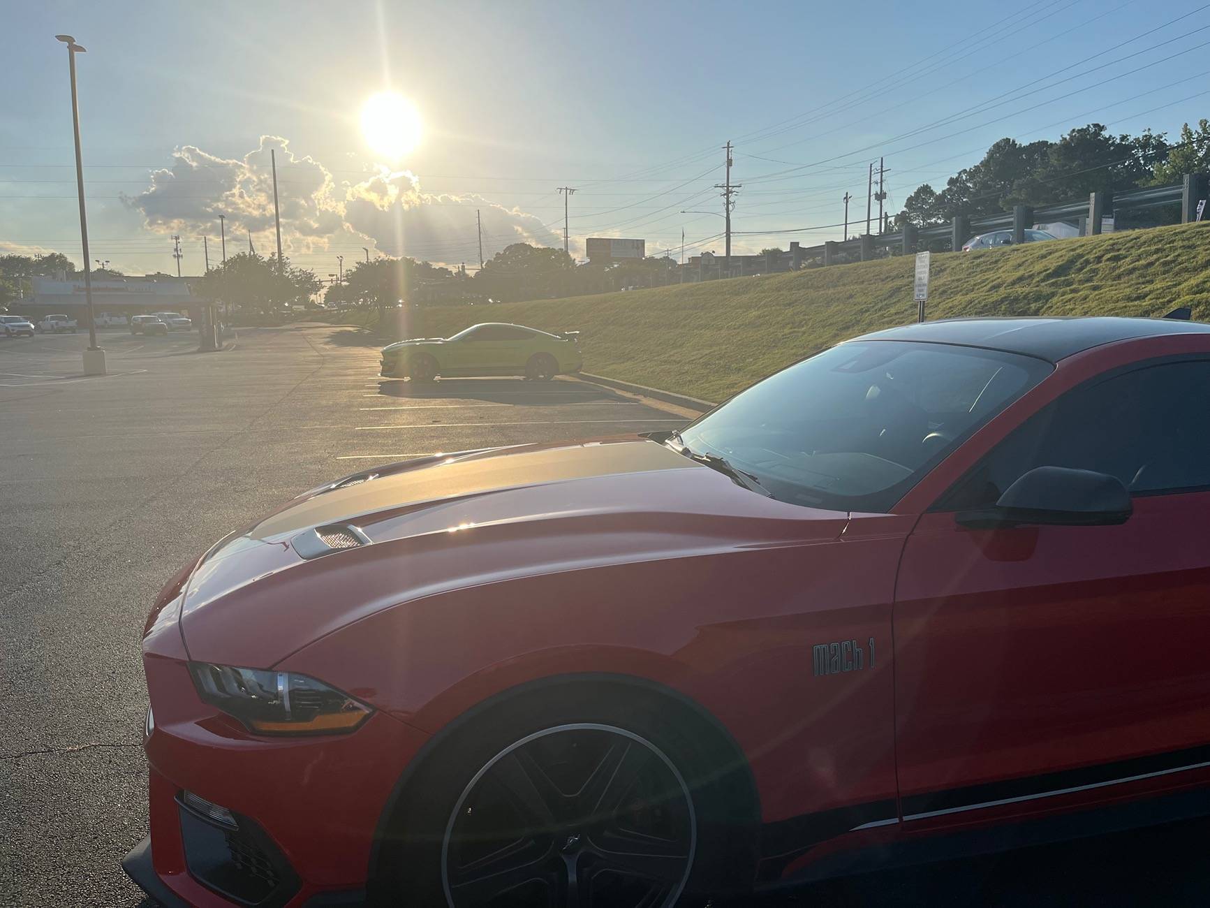 IMG_4987.jpeg