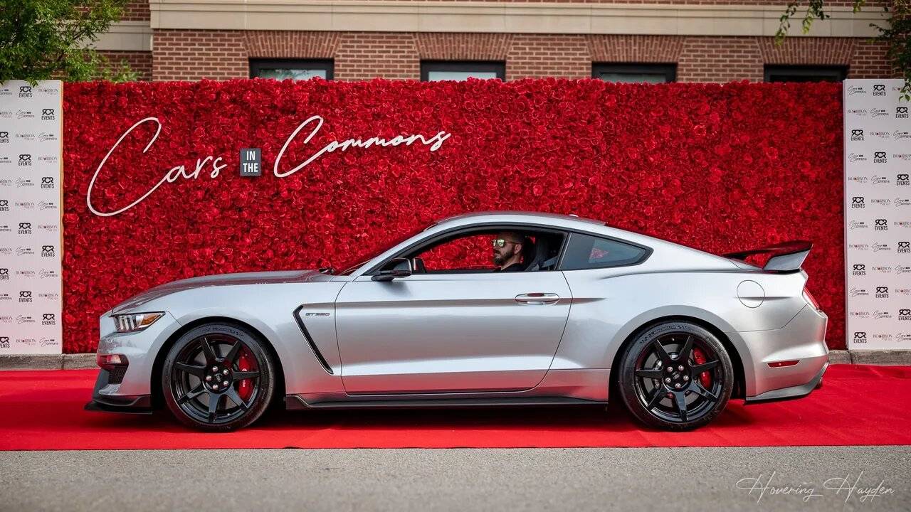 Red carpet.jpg