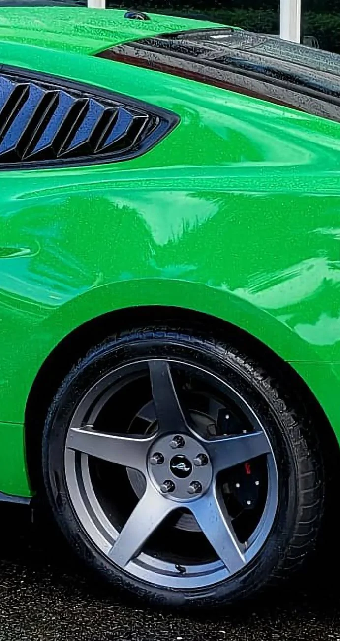 rear side.webp