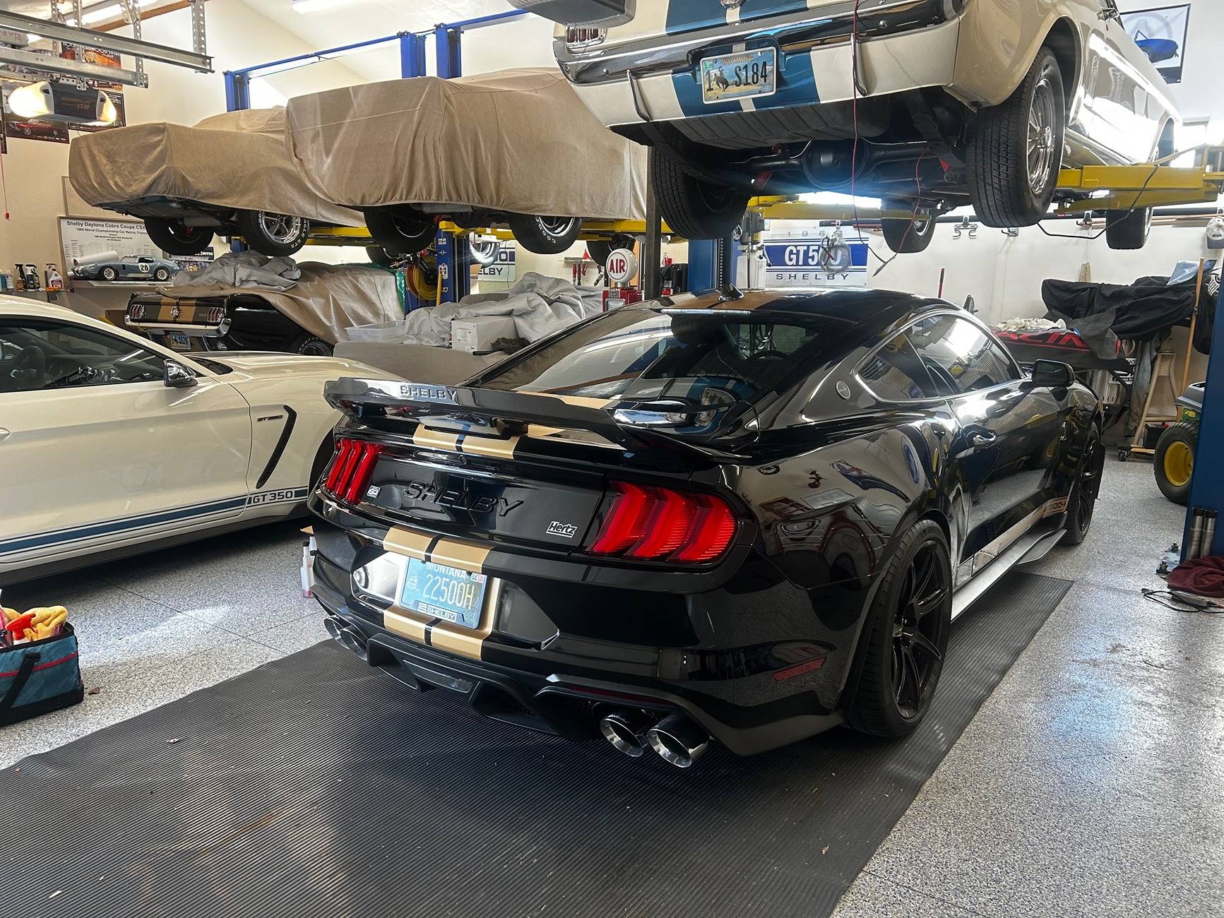 Rear500H.jpg