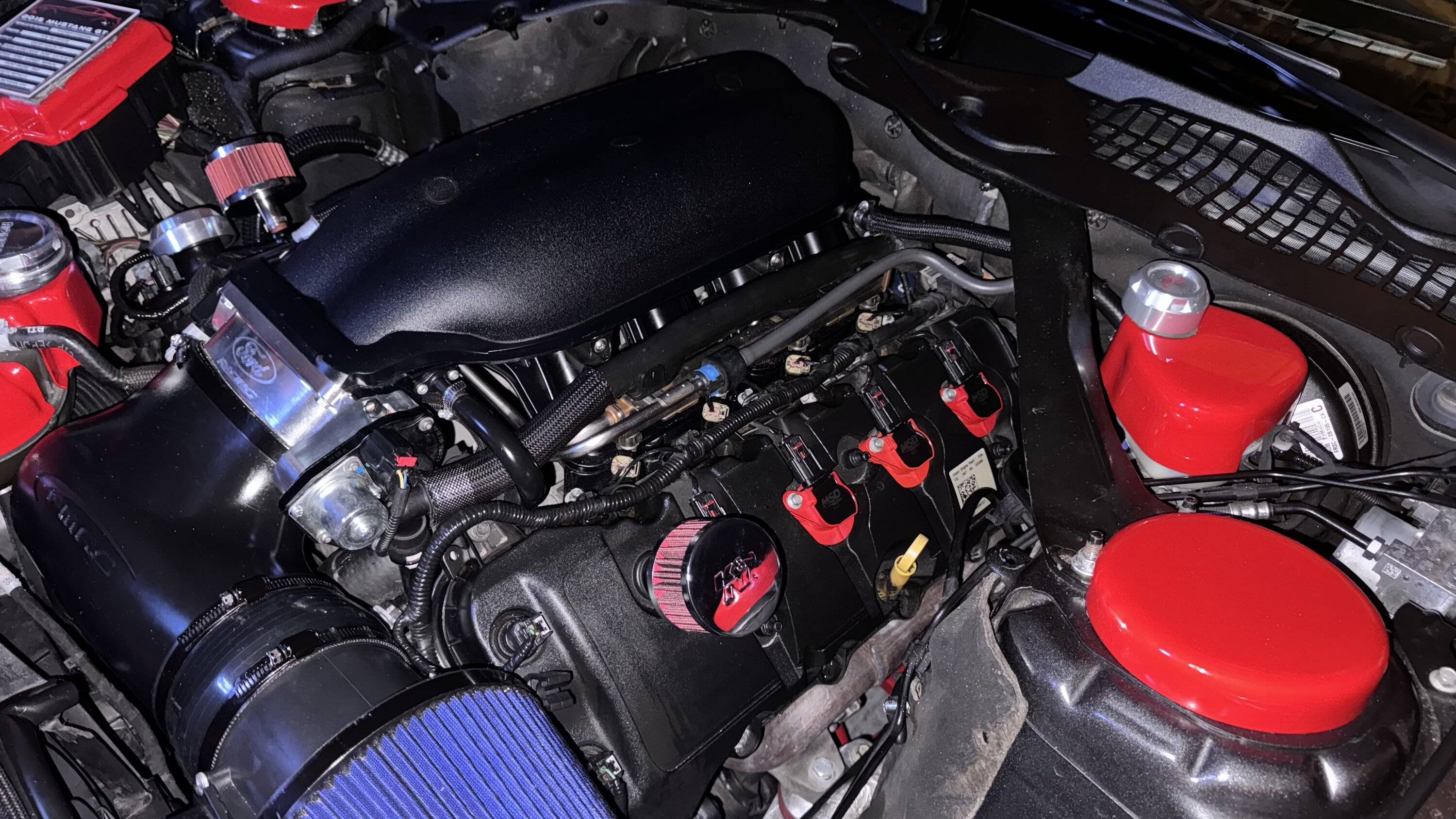 IMG_3580.jpeg
