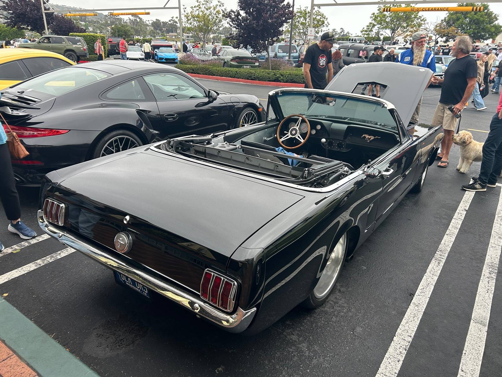 IMG_2231.jpeg