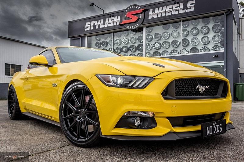 Mustang small.jpg