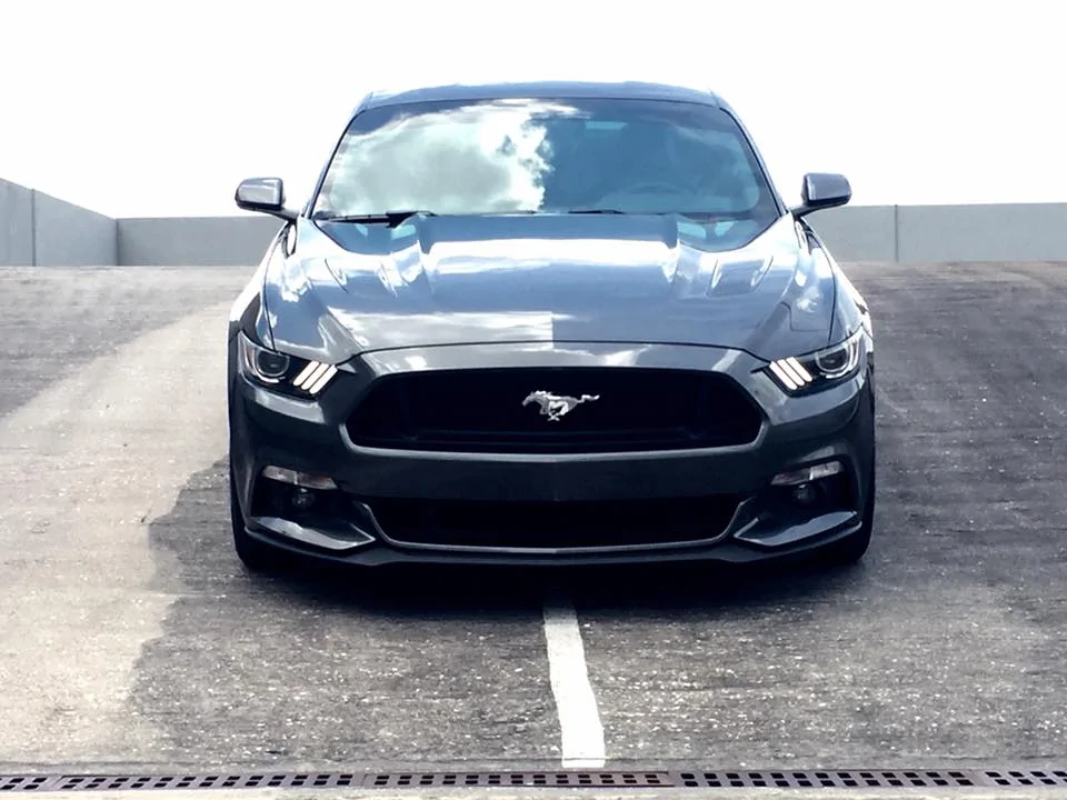Mustang garage 4.webp