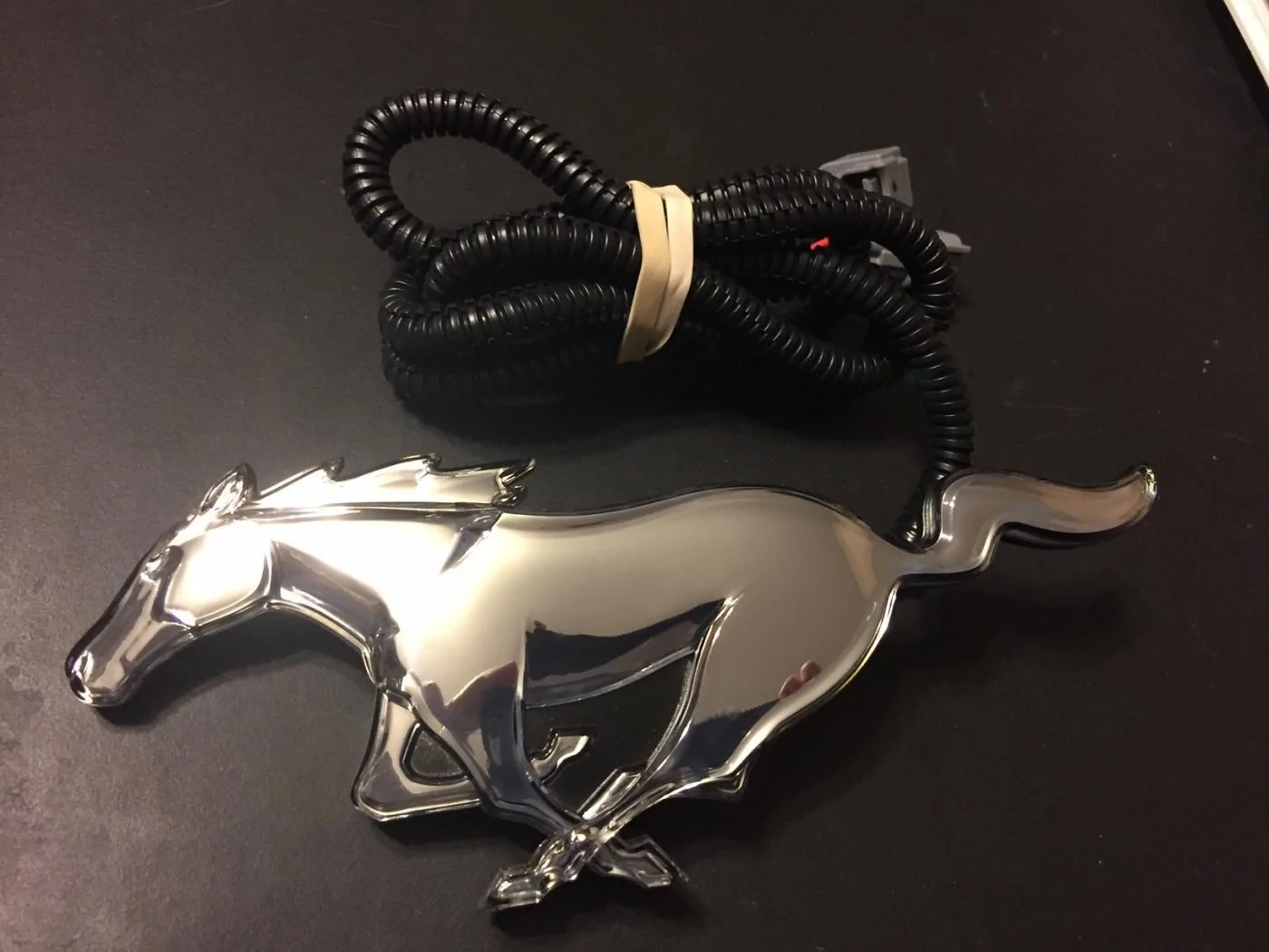 pony.webp