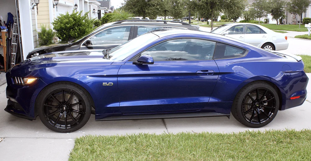 mustang2.webp