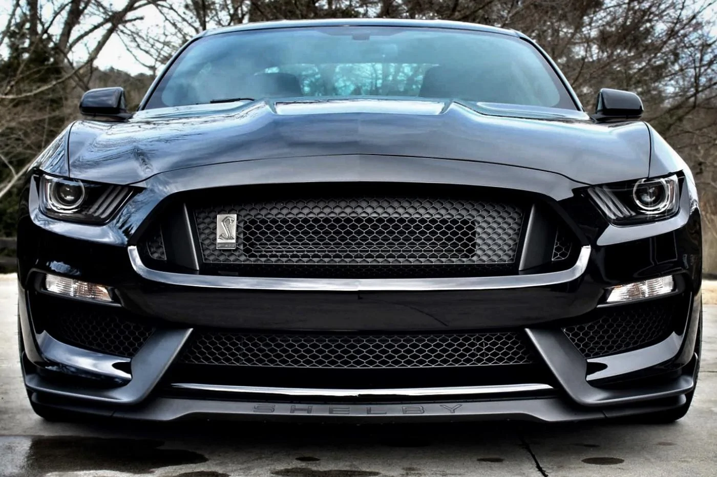 front.webp