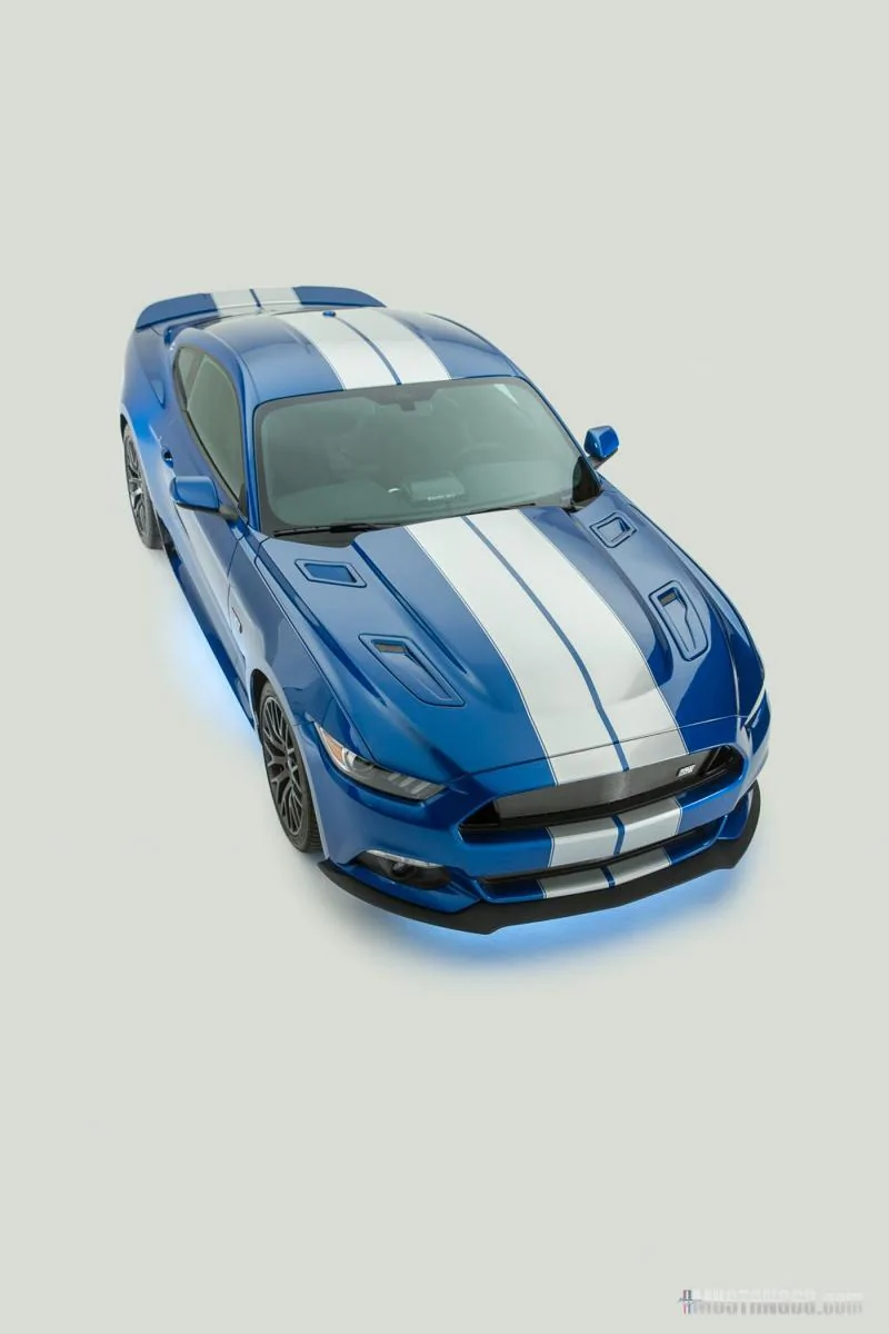 2017 Shelby GTE-20.webp