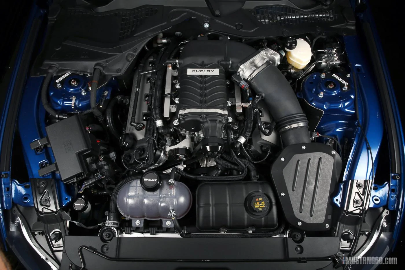 2017 Shelby GTE-29.webp