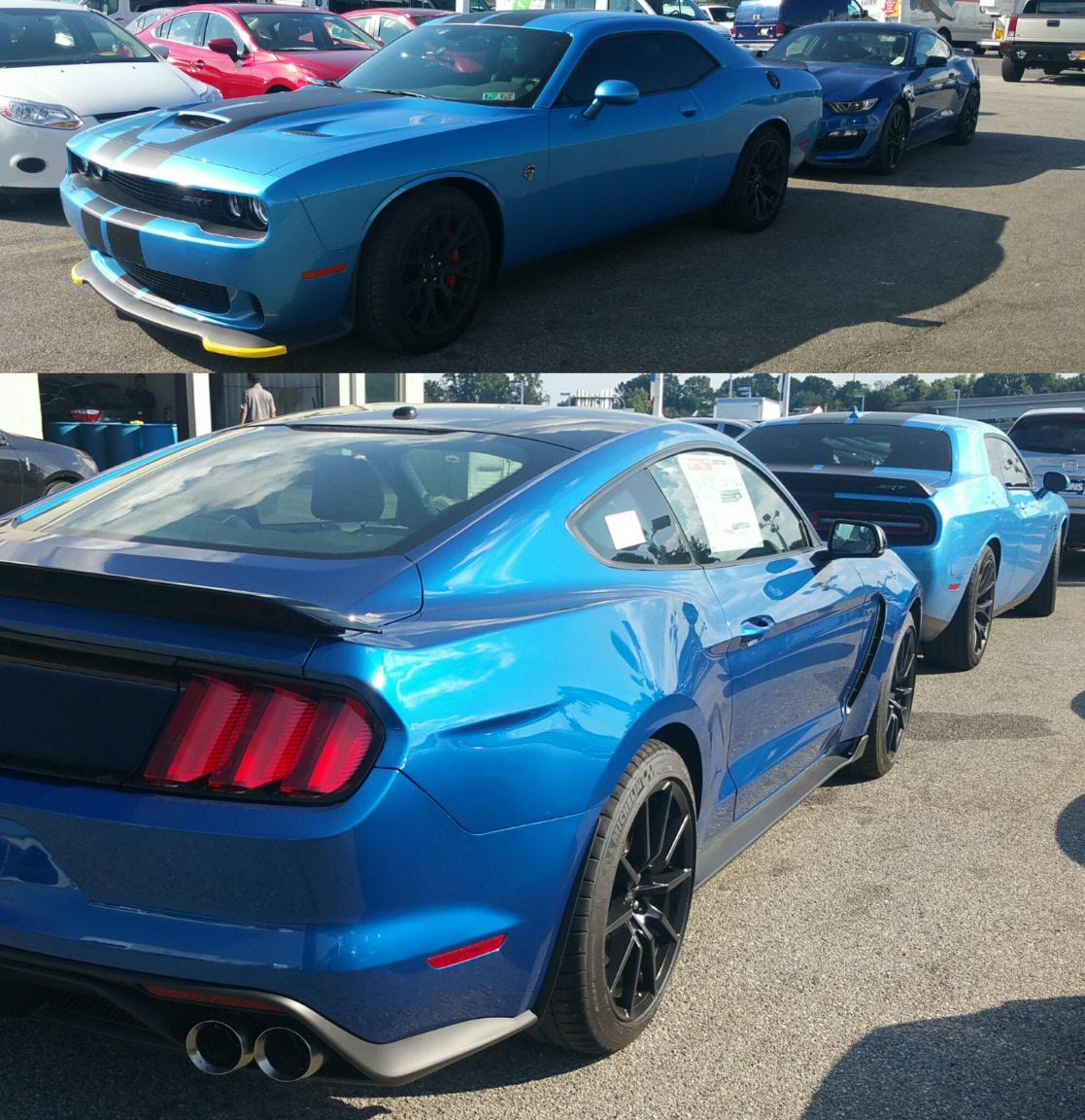 2016-09-02 03.18.15.jpg