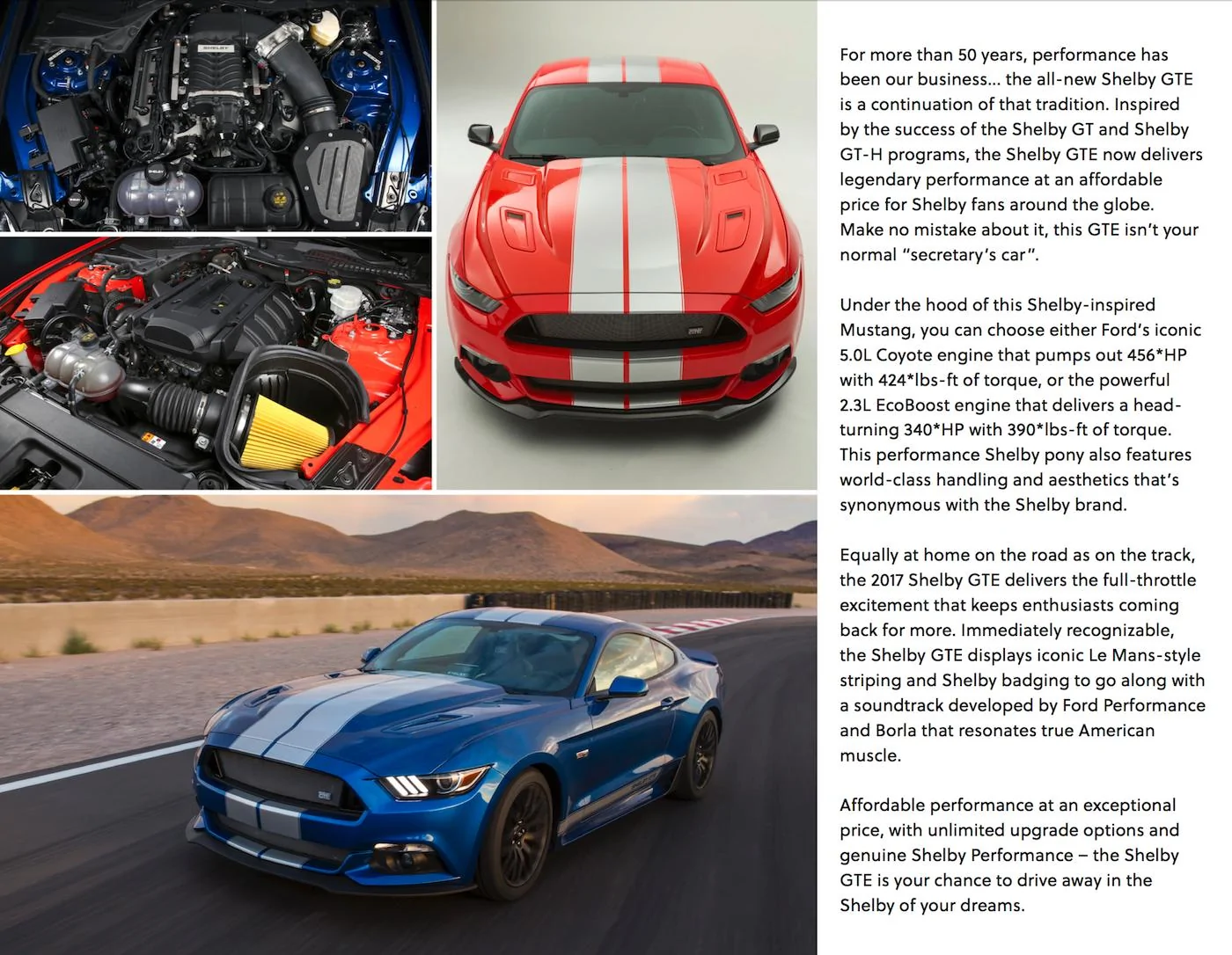 Shelby GTE Brochure 2.webp