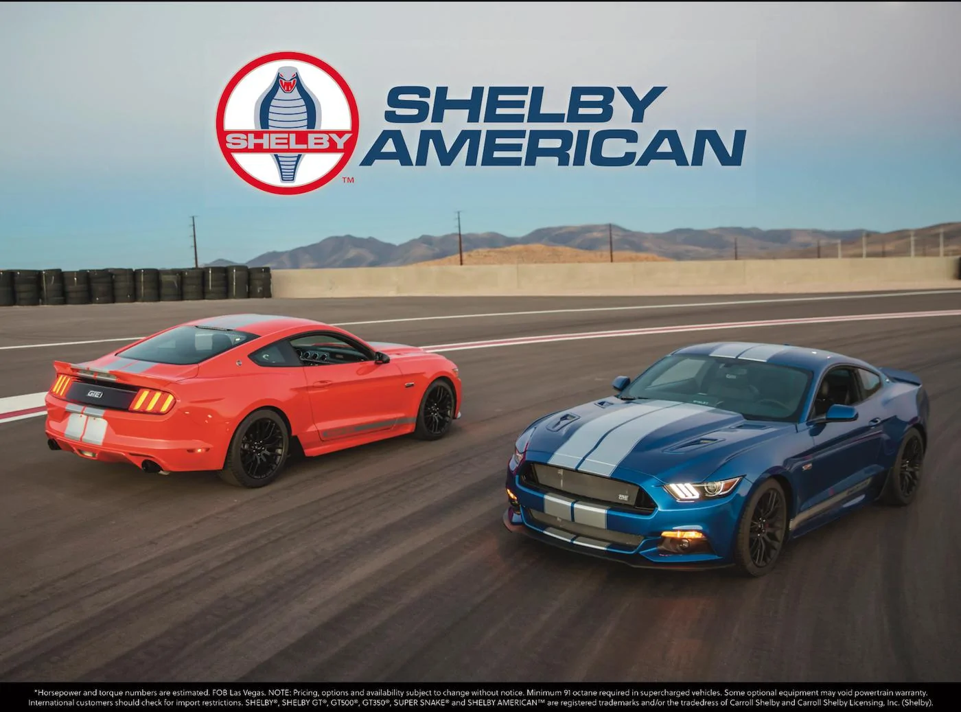 Shelby GTE Brochure 4.webp