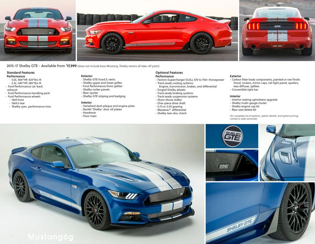 ShelbyGTE-3.webp