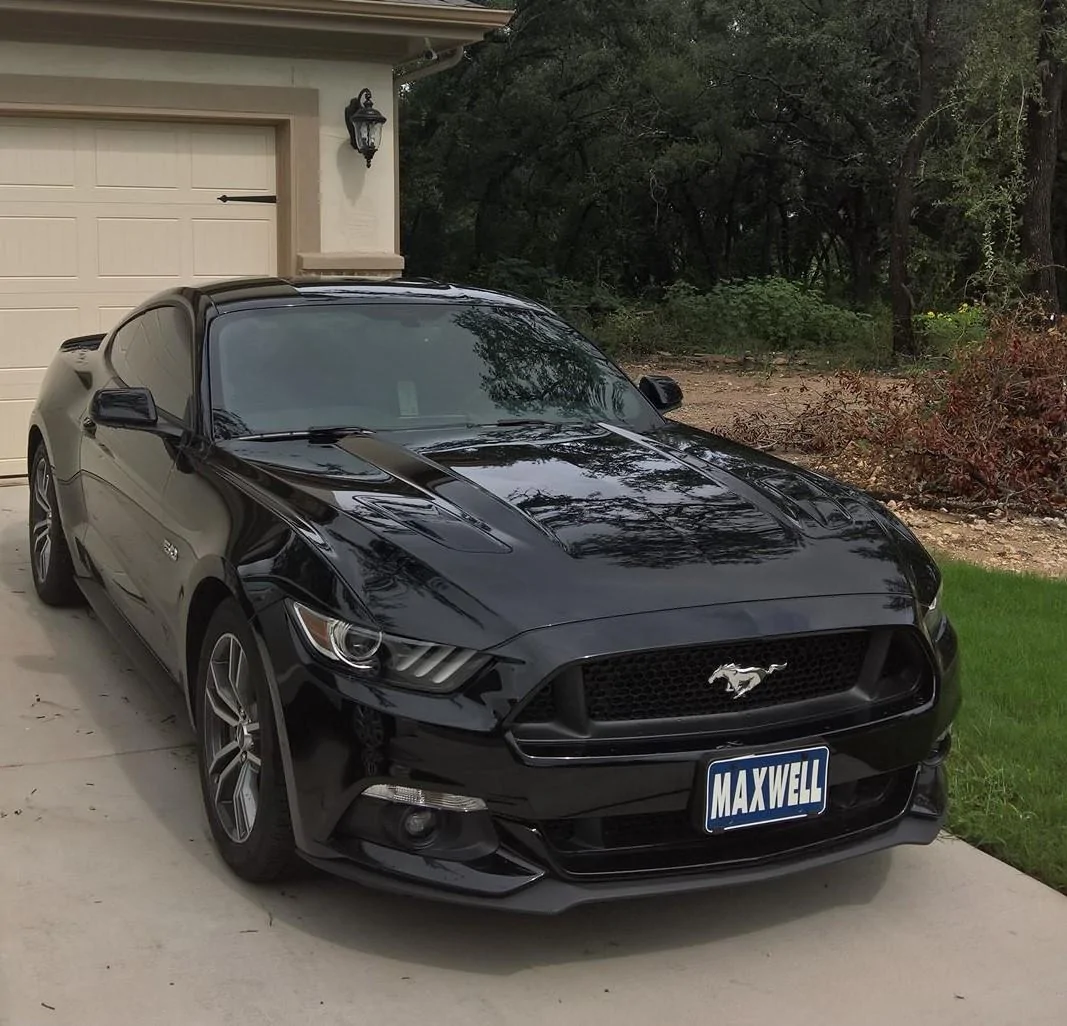 My Mustang.webp