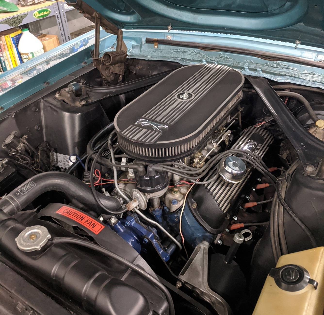 289_8V.jpg