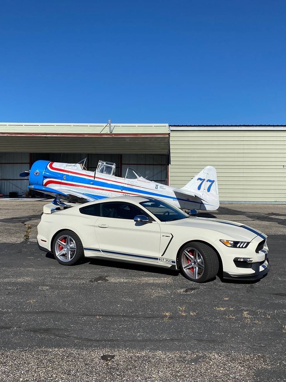 T6.jpg