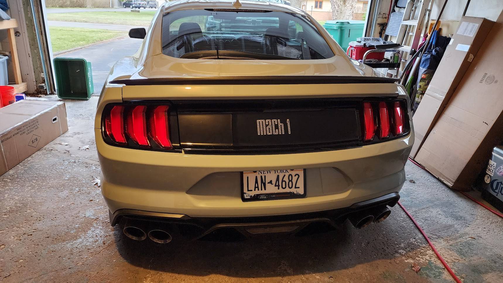 1723127165335-i8.jpg