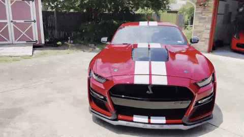 qcfwt9wzu6gxhj4091um&ep=v1_gifs_username&rid=giphy.gif