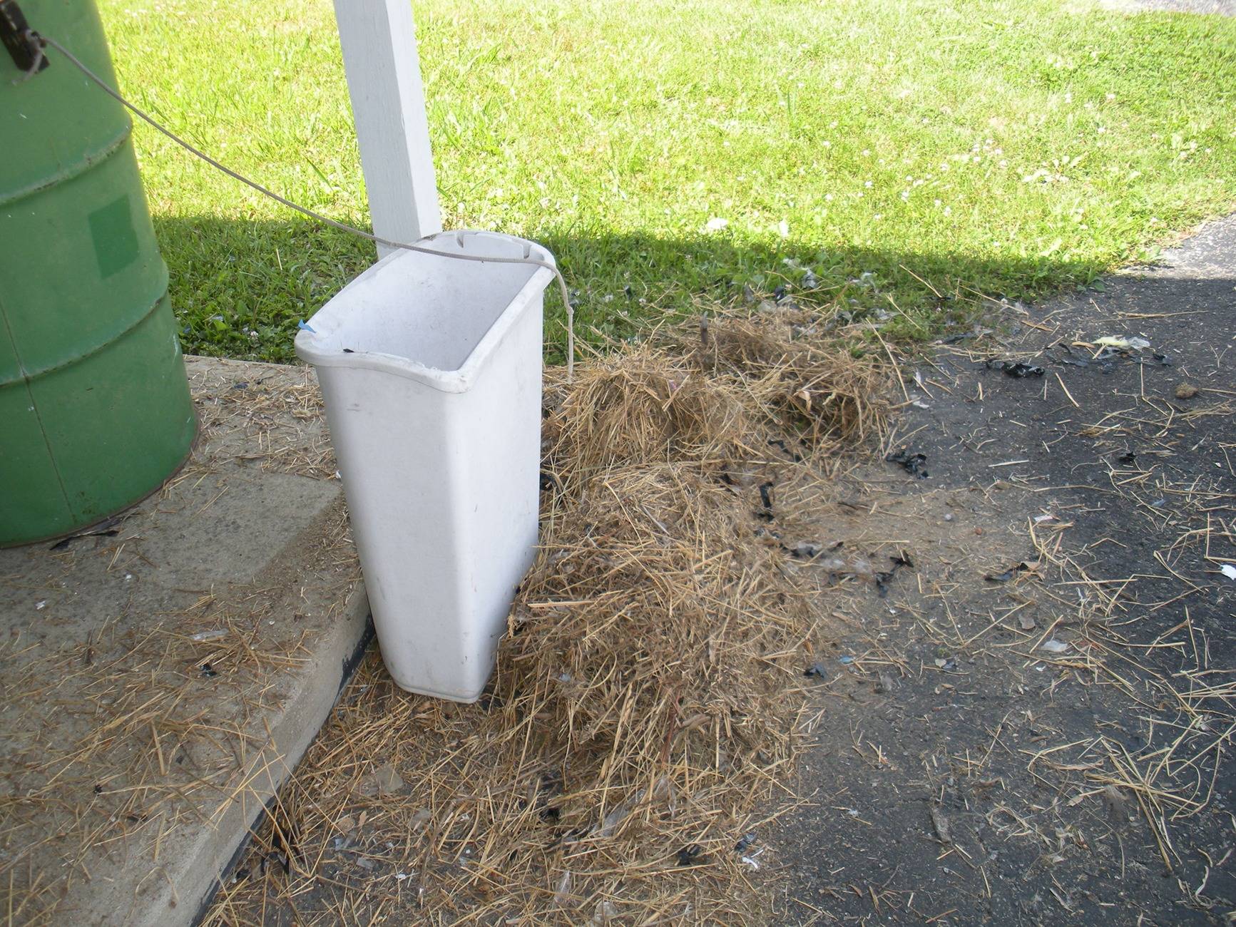 DSCN9097.JPG