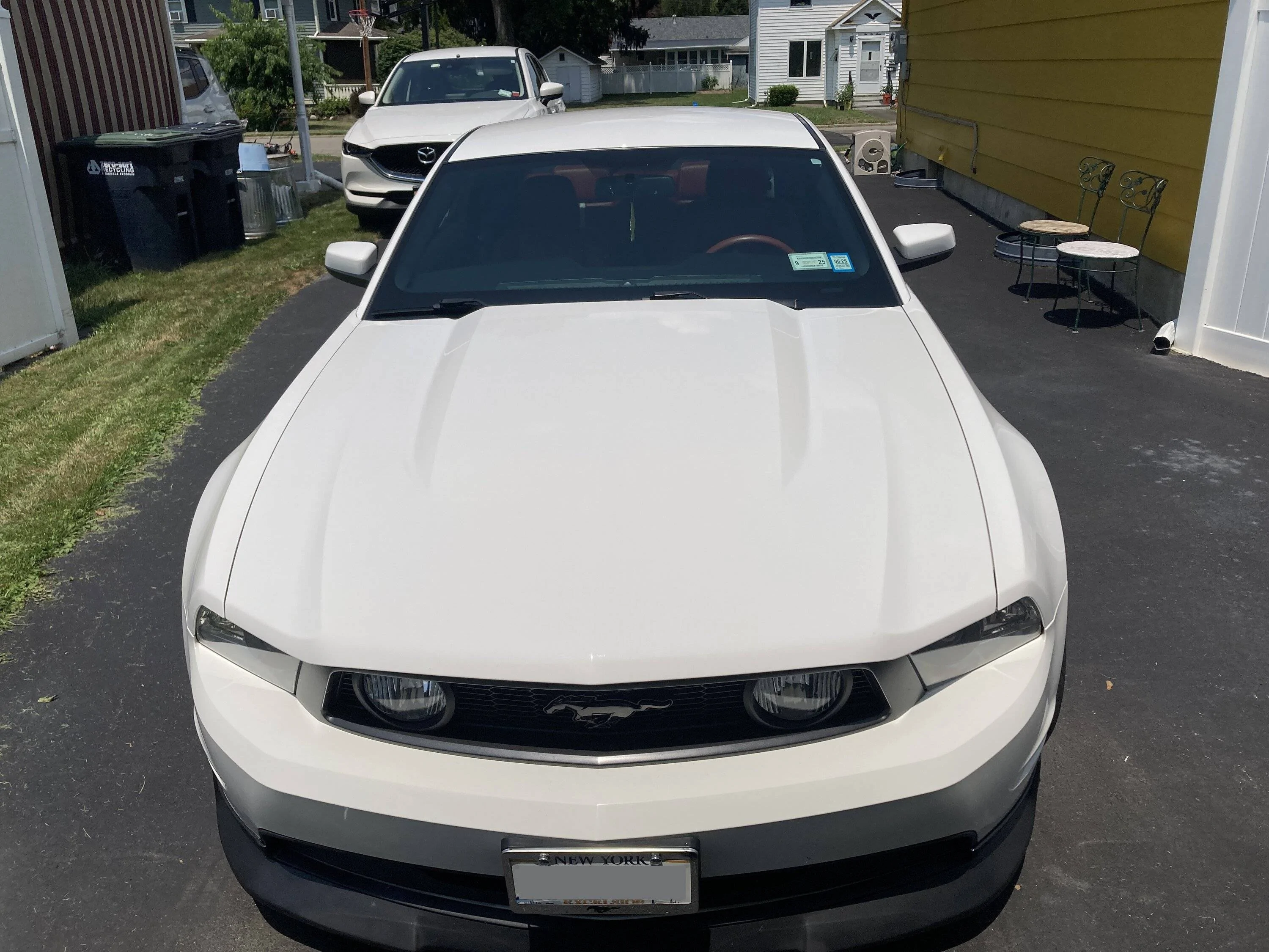image1.webp