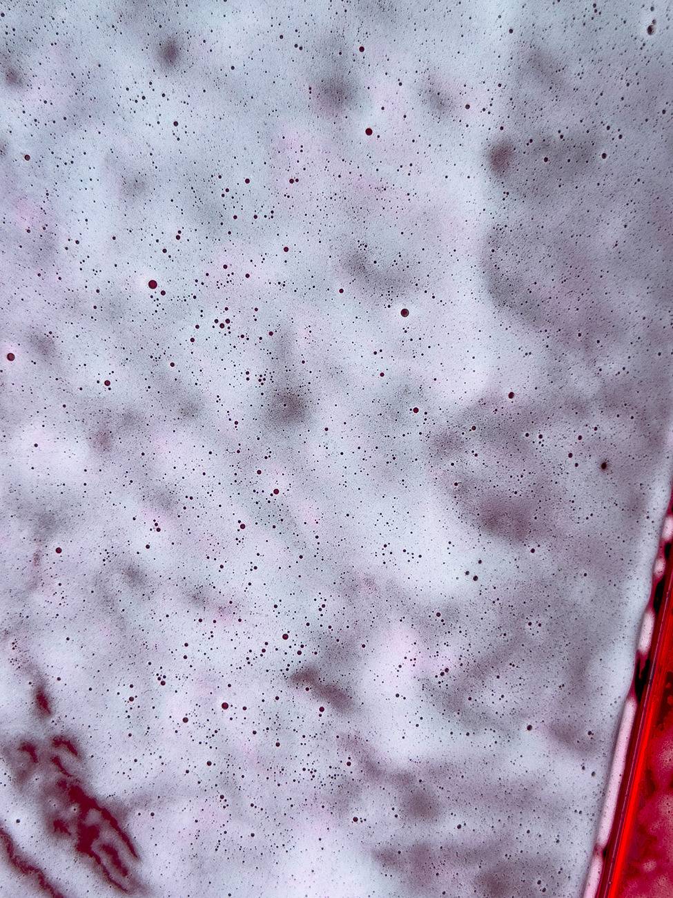 caddy-wash-ironx-closeup_240823.jpg