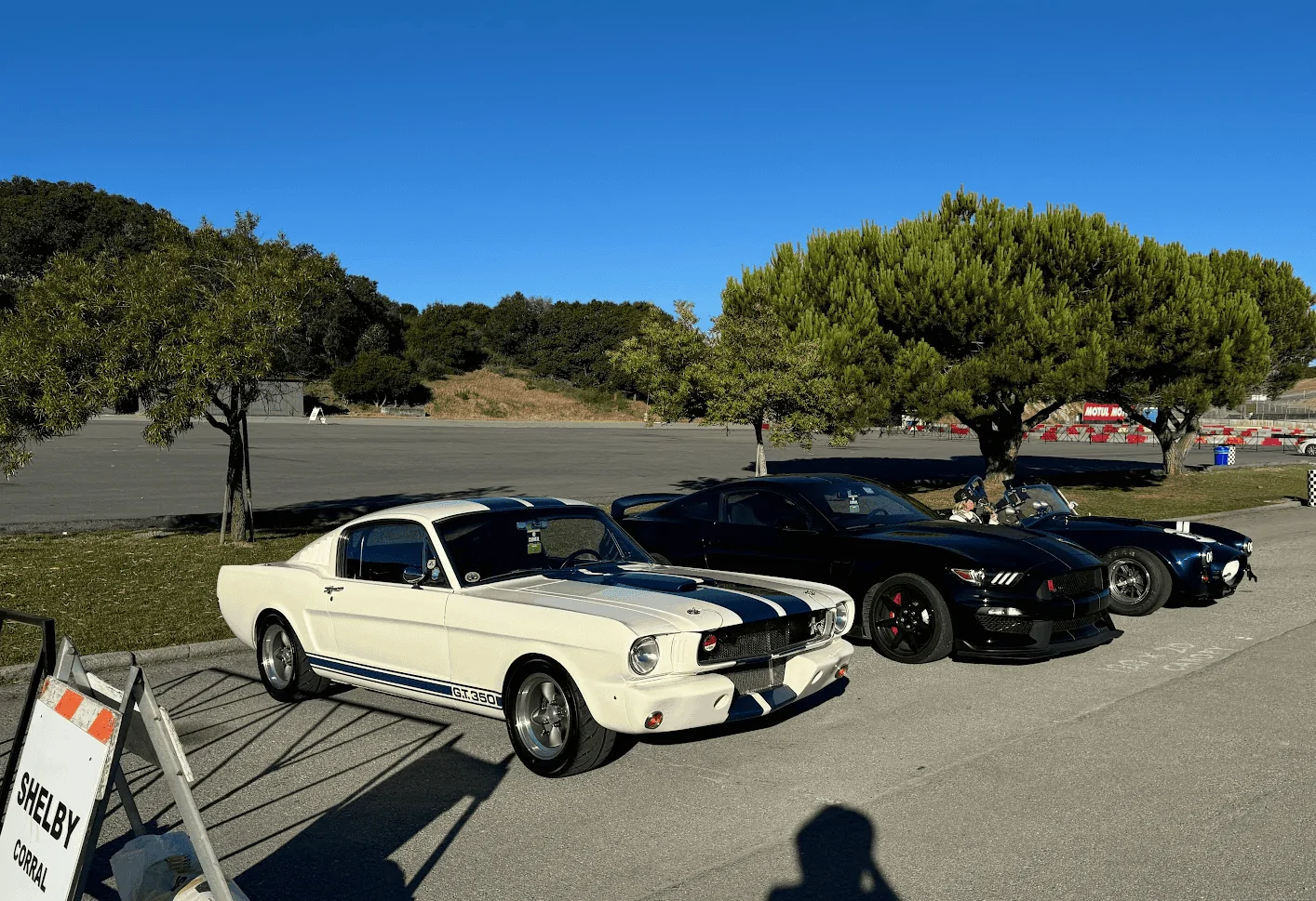 Screenshot 2024-08-25 201904.png
