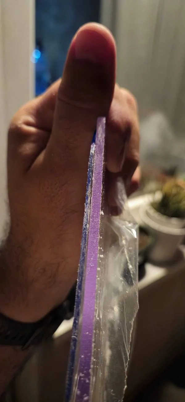1000010071.jpg