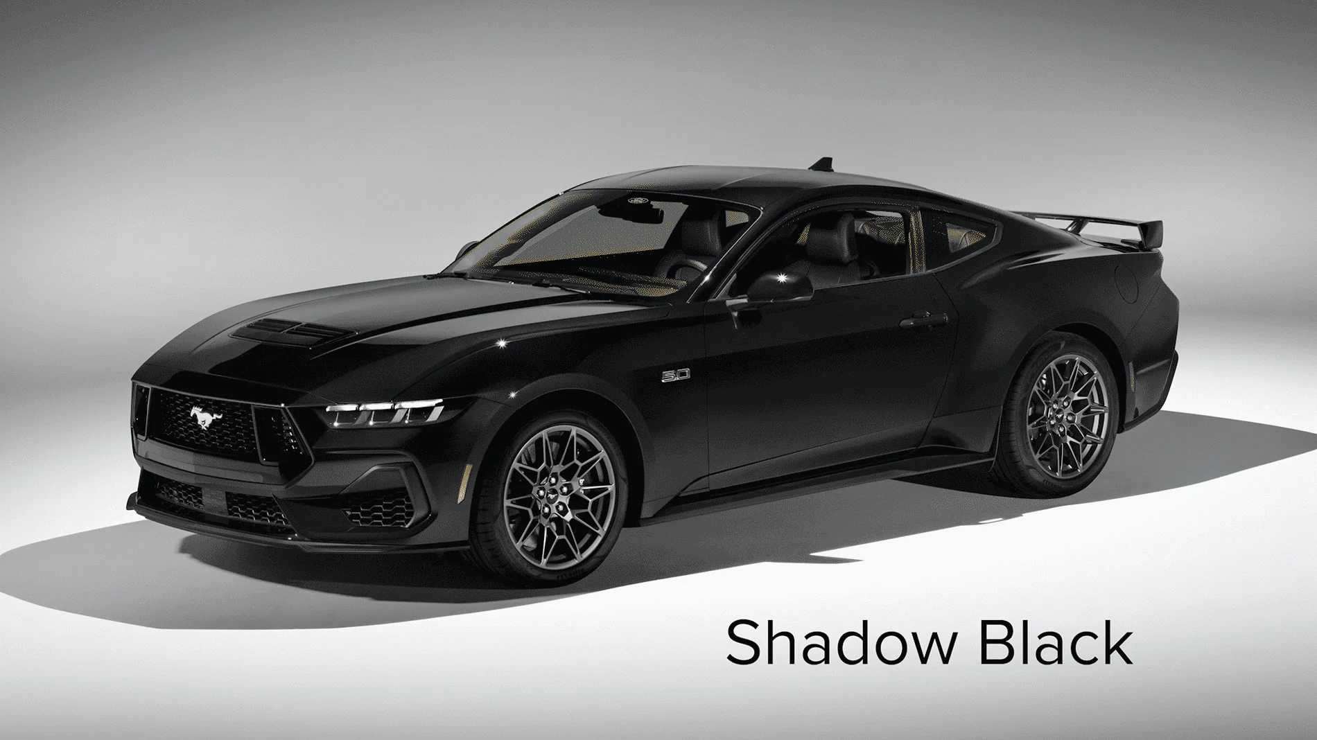 shadow-black.png