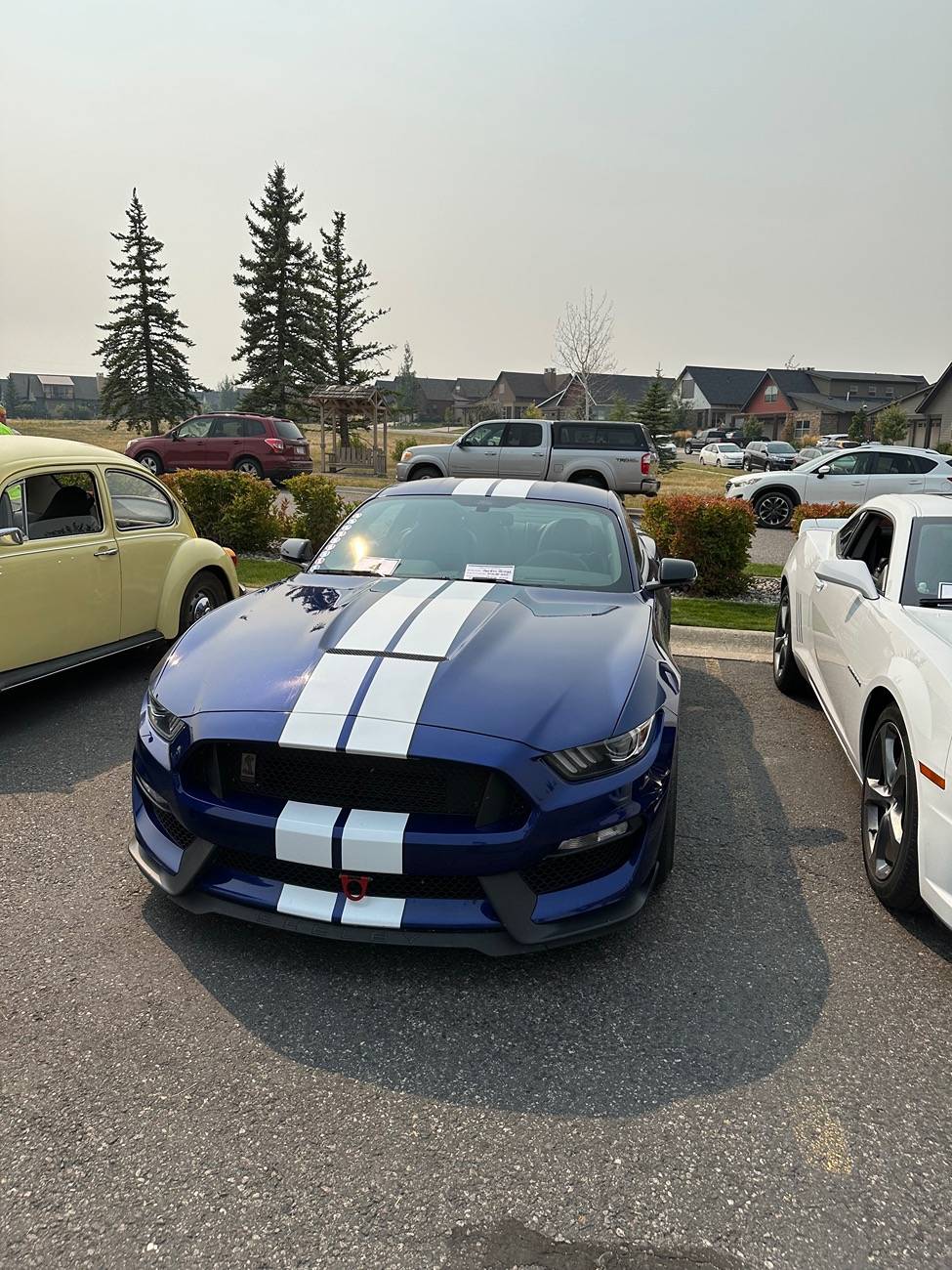 IMG_0412.jpeg
