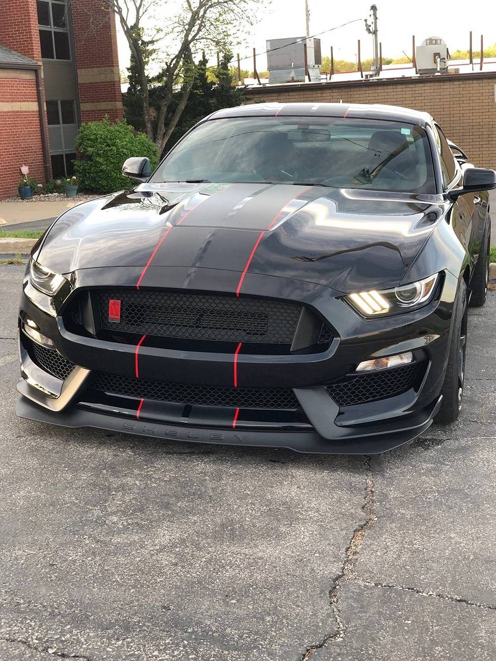 Mustang Day.jpeg