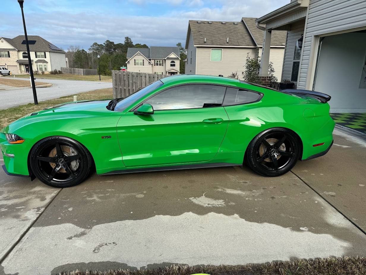 Contis on Car.jpg
