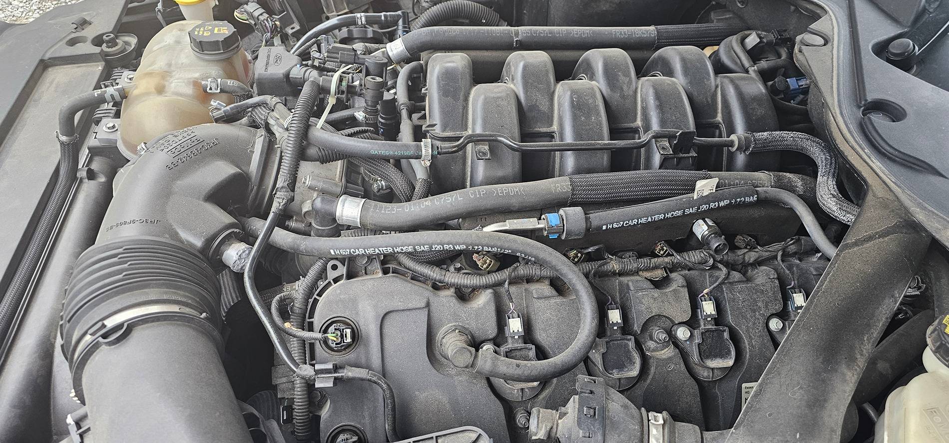 fuel line w.jpg