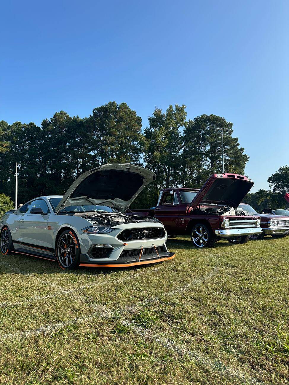 tempImageghvukh.jpg