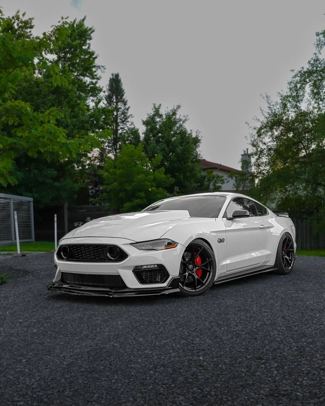 458992803_477630665144171_4157085039199584084_n.webp
