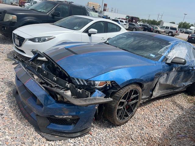 Mustang 2.jpg