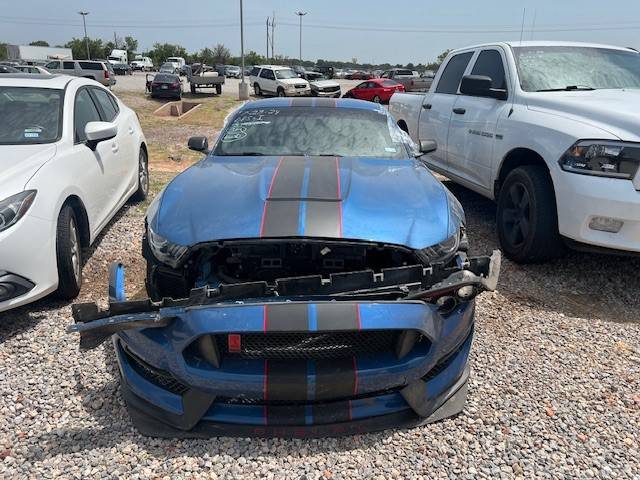 Mustang3.jpg