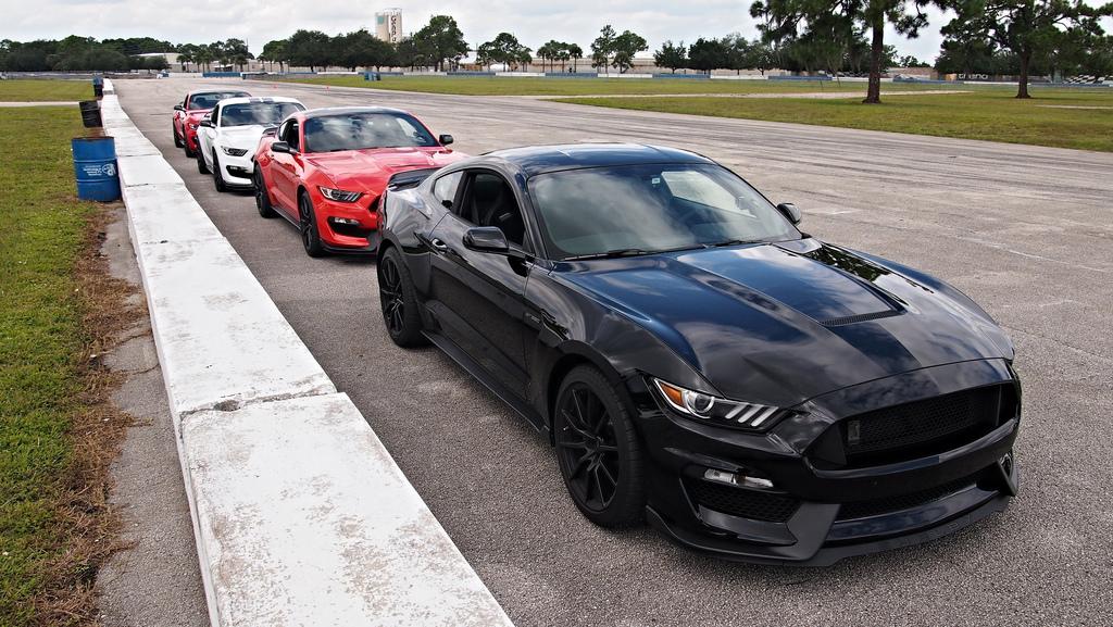 psgt350.jpg