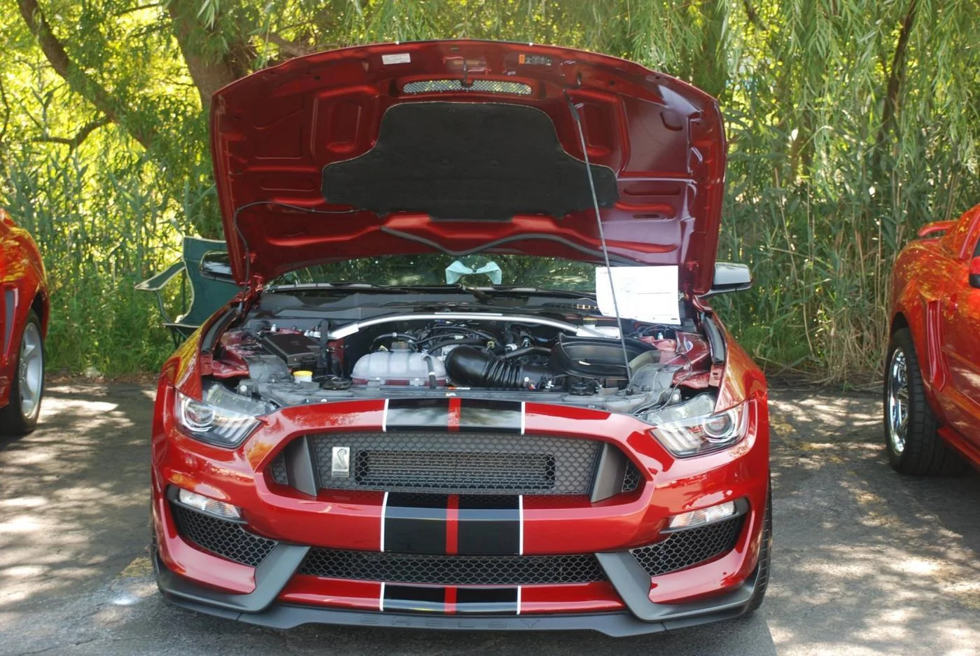 image.webp