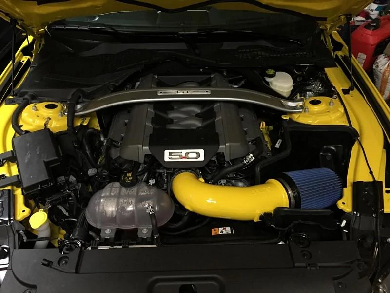 tn_TripleYellow 2015.webp