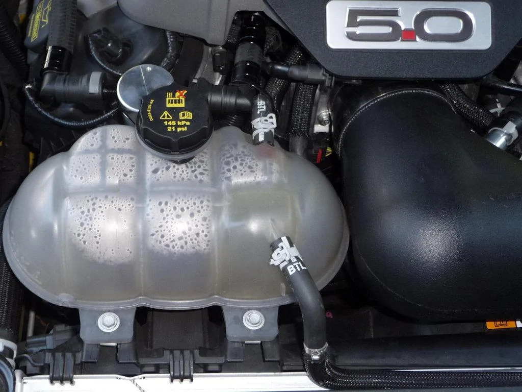 P1050292.webp