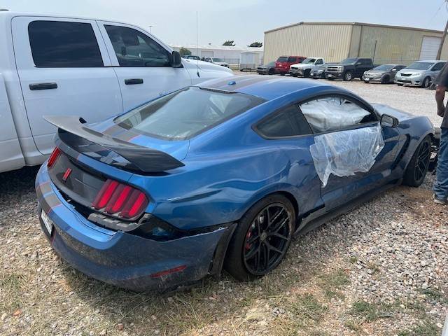 Mustang 1.jpg