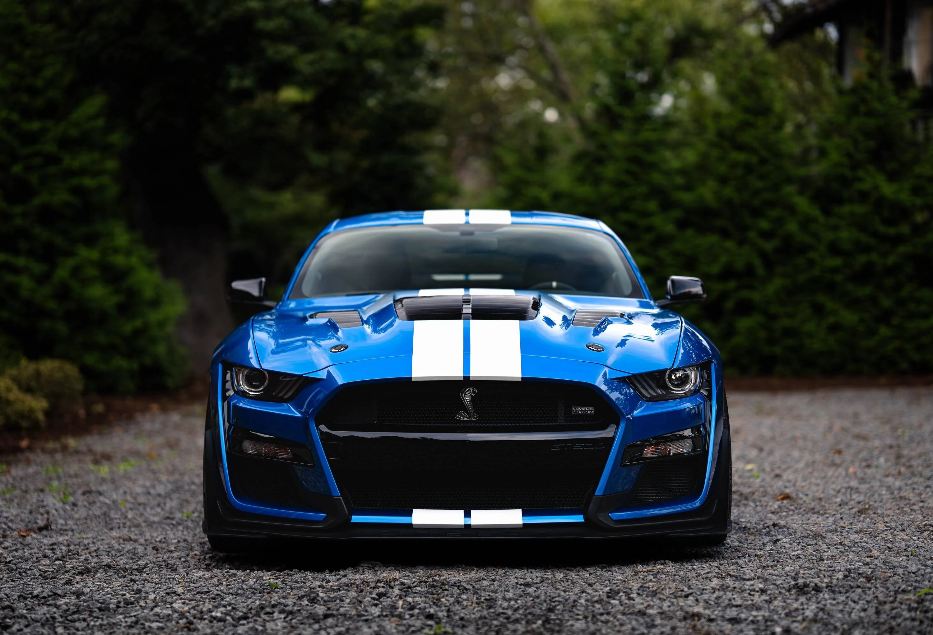 Flagship Series One Shelby GT500 Widebody Gloss Silver29 copy.jpg