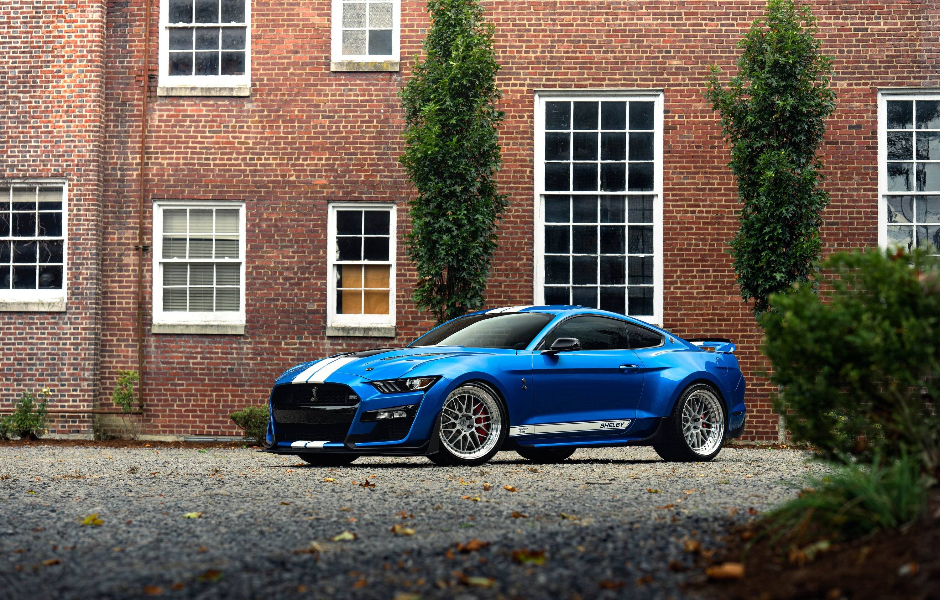 Flagship Series One Shelby GT500 Widebody Gloss Silver16 copy.jpg