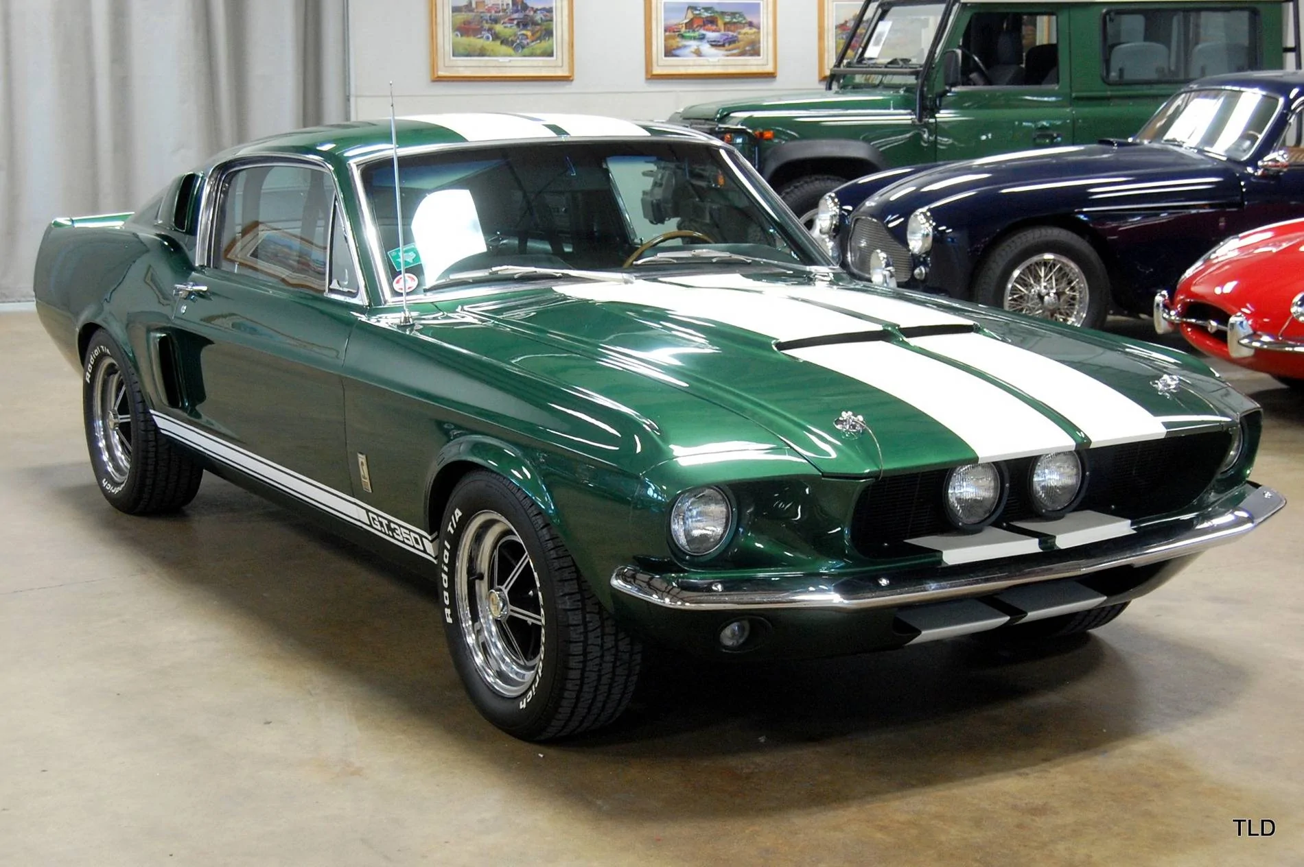 67 Shelby.webp