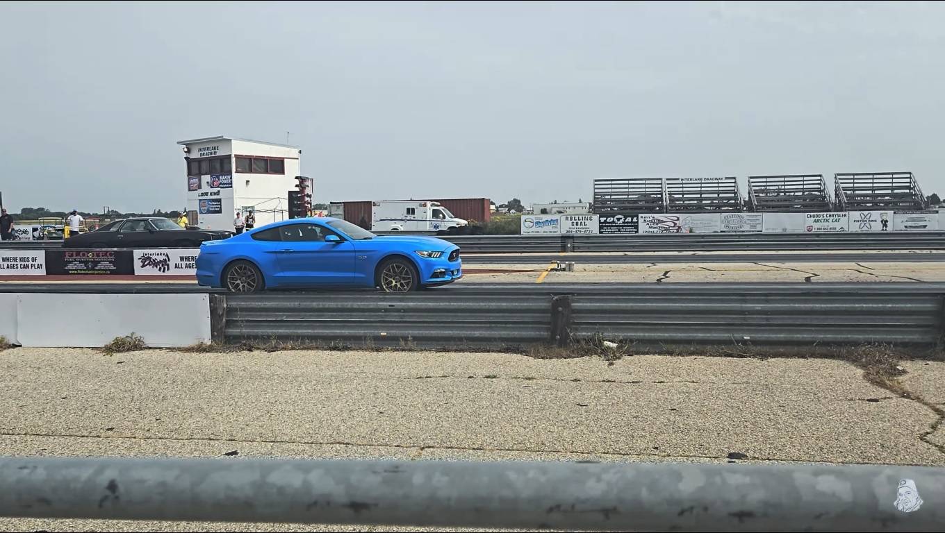 mywhip.jpg