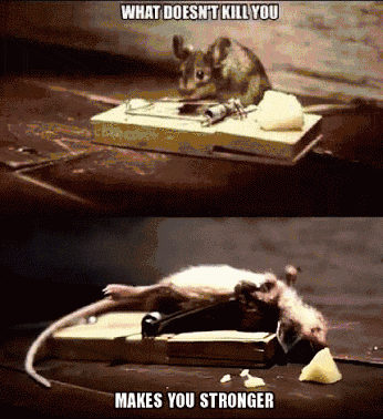 IMG_1979.gif