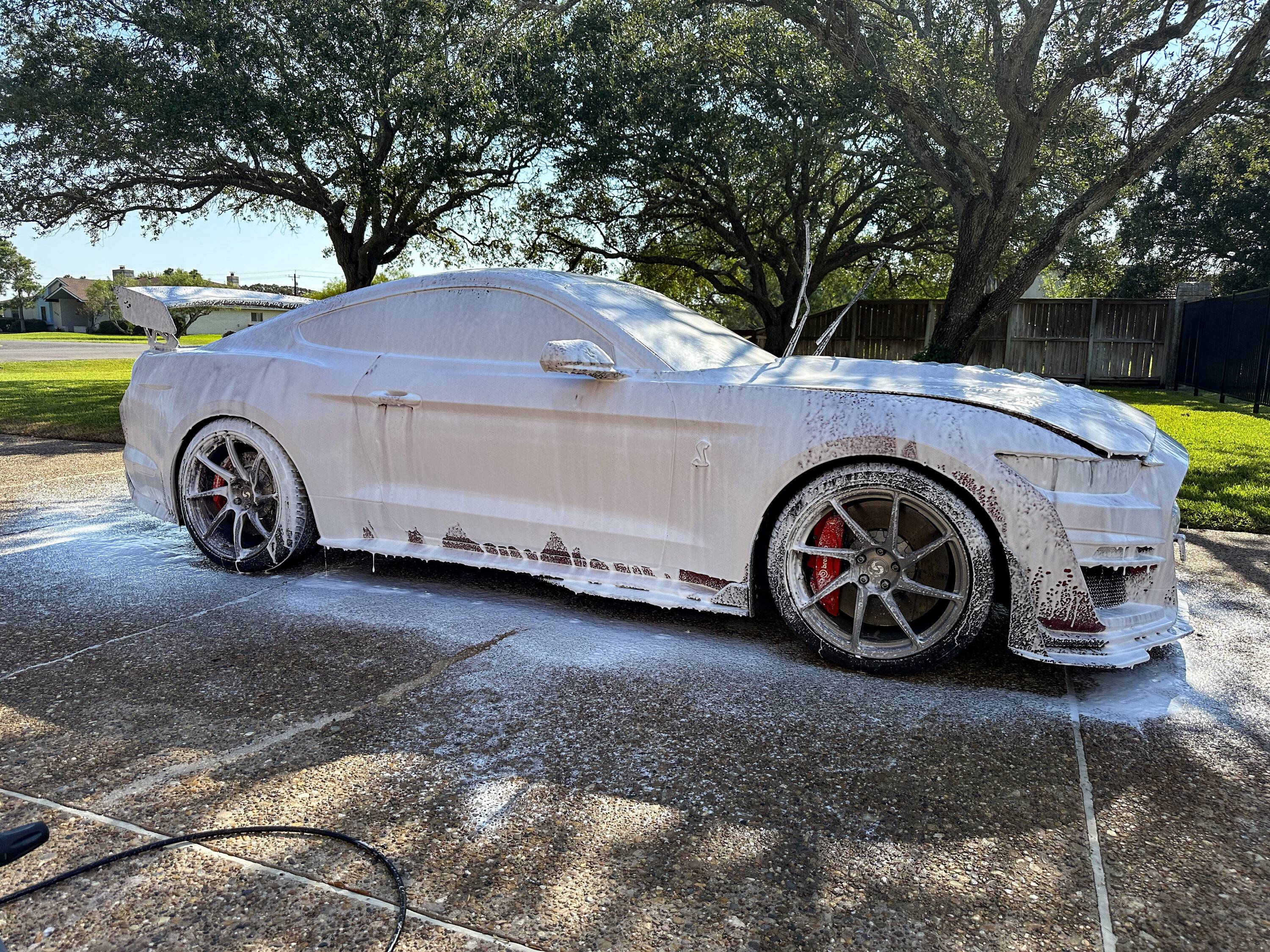 sarah-detailing_241013_02.jpg